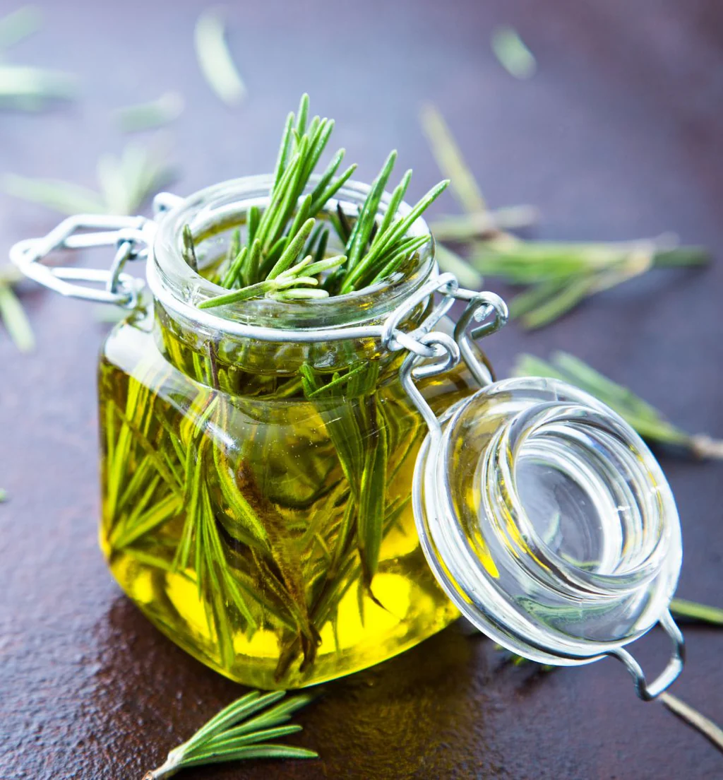 How to Make Rosemary Water for Hair from Fresh Rosemary