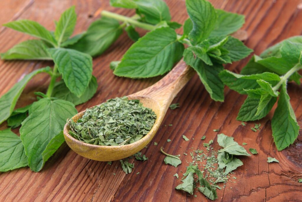 How to Store Fresh Mint Leaves in Fridge