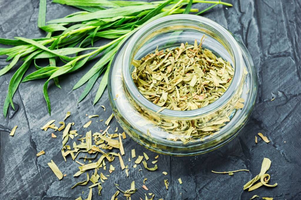 Tarragon Benefits and Side Effects